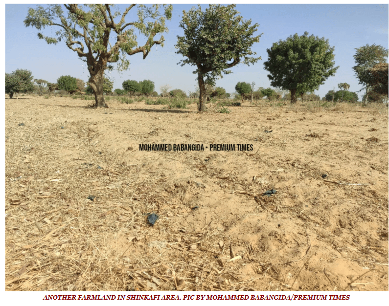 Shifting sand dunes and land degradation in northern Katsina photo 2