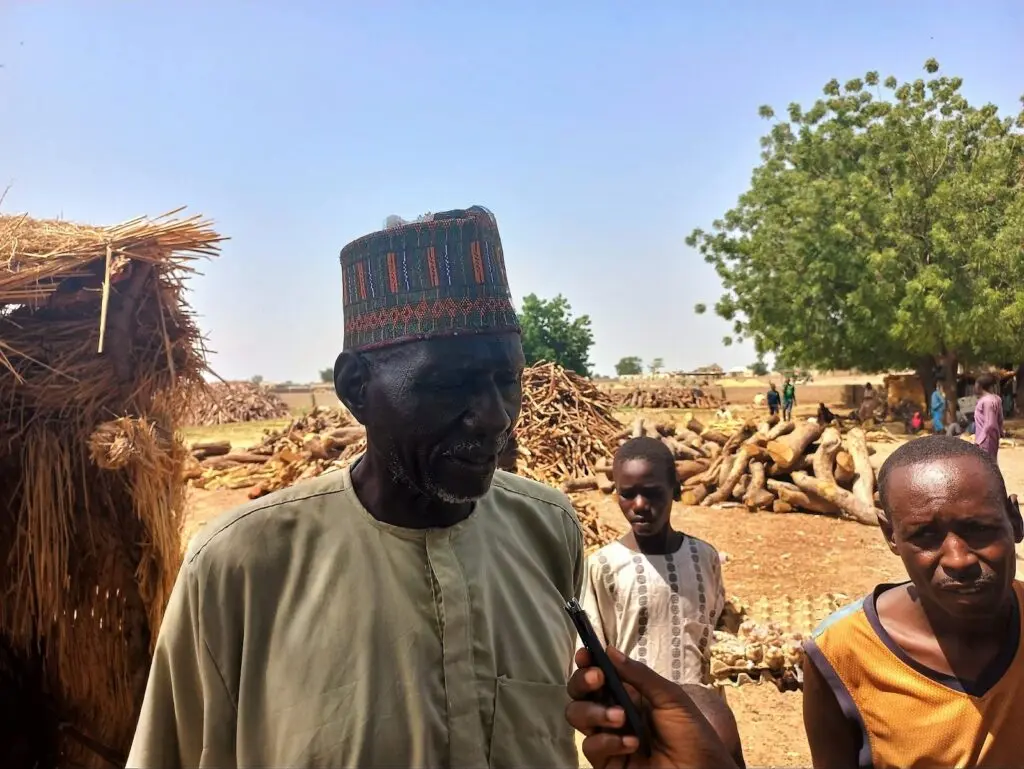 Desertification and deforestation pressure across Borno drylands photo 3